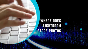 Lightroom catalog window showing folders and image file paths