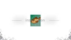 Inspiration banner with Don Seegmiller’s whimsical fish illustration on a green panel