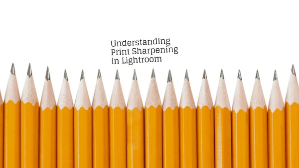 Close-up example illustrating how print sharpening in Lightroom helps maintain detail and clarity when preparing photographs for high-quality prints.