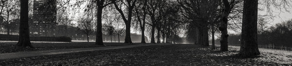 Dark Wall Art Collection Featuring Photography of Shadows and Contrasts