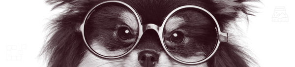 Funny Wall Art Collection Featuring Photography of Playful Moments and Humorous Scenes