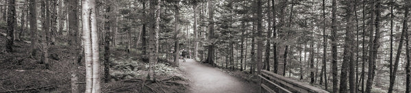 New Brunswick Wall Art Collection Featuring Photography of Coastlines, Lighthouses, and Forests