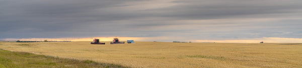 Prairie Wall Art - Dan Kosmayer Fine Art Photography
