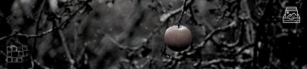 Resilience Wall Art Collection Featuring Photography of Strength and Endurance