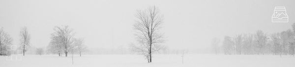 Snow Wall Art Fine Art Photography of Winter Landscapes