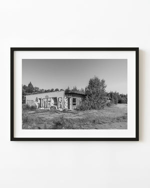 Abandoned Ontario motel covered with graffiti beside a leafy tree, black and white