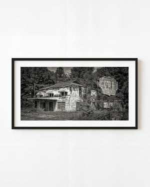Abandoned South Carolina café and faded roadside sign surrounded by overgrowth in black and white.