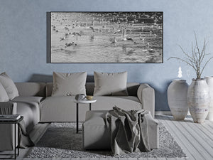 Wide black and white photograph of flying and resting kittiwakes across textured water.