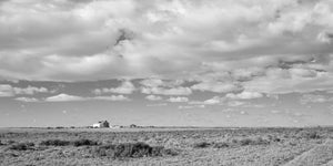 De zwart-witte woestijn van Arizona