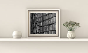 Old bindings and pale book edges on Dublin’s Trinity College Library shelves