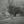 A boy seen from behind follows a pale path beneath a large Tanzanian tree