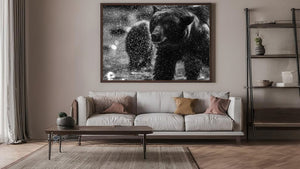 Black bear shaking water from its fur in a detailed Canadian wildlife photograph.