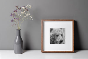 Mondo naturale Arte da parete del headshot del cucciolo di orso bruno in erba verde
