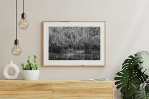 Pale strands of Spanish moss form a canopy above shadowed water at Caddo Lake.