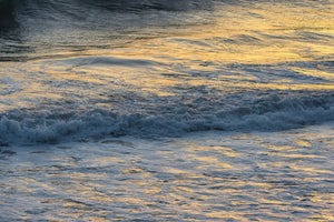 Warm evening light catches textured waves and white foam in California ocean water.