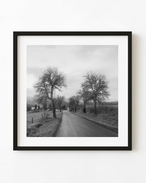A quiet Czech country road recedes between bare trees and open fields in black and white.