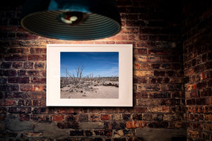 Blasser Sand und verwittertes Holz kontrastieren mit dem strahlend blauen Himmel über Westaustralien.
