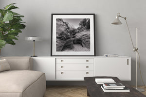 Rugged desert rock layers and small plants in a square monochrome landscape.