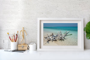 Pale driftwood on a tropical shore beneath a blue horizon