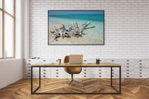 Turquoise sea and tangled driftwood in a Dry Tortugas coastal photograph