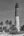Tall lighthouse tower rising behind palms on a Dry Tortugas island