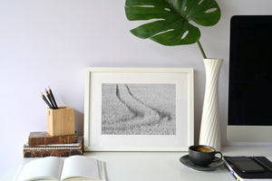 Arte de pared de campo de trigo en blanco y negro