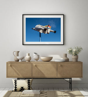 Colour photograph of a barrel-bodied tin horse posed in flight in Western Australia.