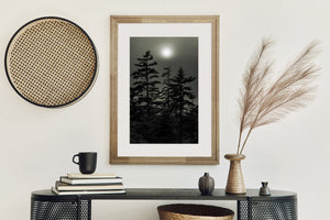 A pale circle of sunlight glows above layered evergreen silhouettes.