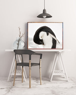 minimalistisch pinguïnverzorgingsbeeld