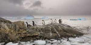 Lijn pinguïns in het ijskoude Antarctische landschap