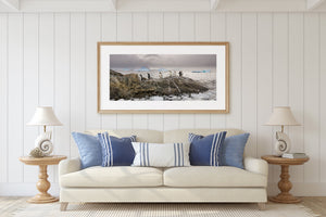 Dieren in het wild op Antarctica Fine Art‑print met zeevogels