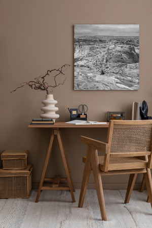 Photographie de paysage en noir et blanc avec des branches emmêlées et la roche érodée d’un canyon