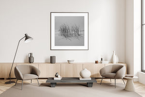 A small clump of grass and its shadows create a minimalist Gobi Desert scene