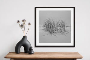 Delicate grass blades contrast with a broad empty field of pale Gobi Desert sand