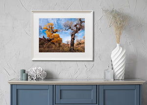 Autumn leaves glow against blue sky above rugged Utah desert terrain