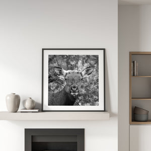 Detailed fur and branching pine needles fill a Grand Canyon elk photograph