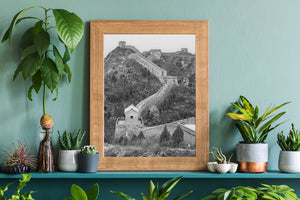 Bare branches and dark evergreens surround the Great Wall’s winding fortifications