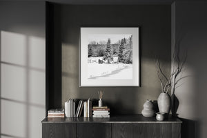 Fresh snowfall softens a rural Haliburton clearing with a small wooden shelter