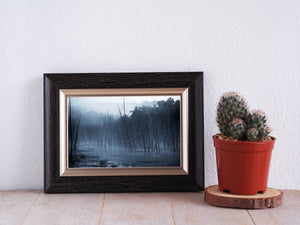 Bare branches and their reflections fill a tranquil blue woodland scene