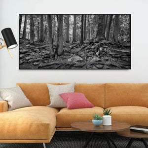 Forest landscape showing tangled roots and stones in Ontario
