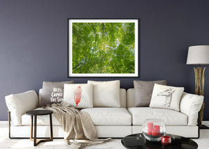 Ontario bosbomen luifel perspectief kunstwerk