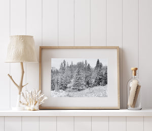 haliburton ontario bosbomen na vroege wintersneeuwval