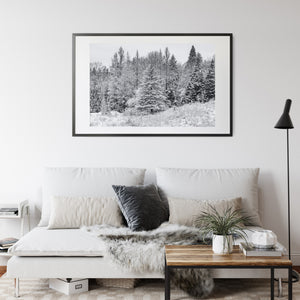 besneeuwde bosbomen winterlandschap Wandkunst Canada