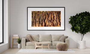 Texture of dried tobacco leaves hanging in Havana tobacco barn