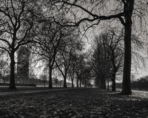 Foto di un grattacielo nebbioso di alberi nudi di Londra