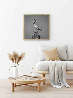 Lone pelican on a rusted post in a minimalist monochrome scene