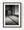 Traditional Japanese tatami room interior in monochrome