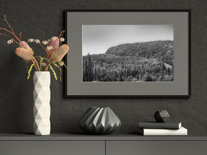 Monochromfoto von dichtem Wald, freiliegenden Felsen und einer geschwungenen Eisenbahnkurve.