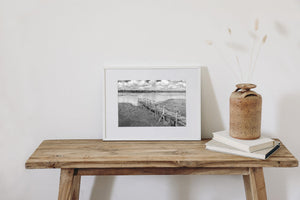Monochrome landscape of reeds and a wooden dock beside a calm Mexican lake