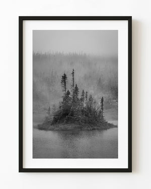 Pequeña isla cubierta de árboles en el brumoso lago de Terranova en blanco y negro